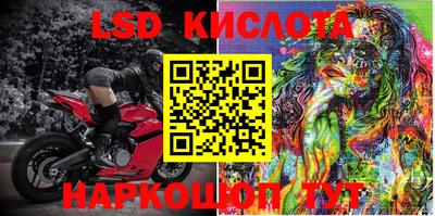 стафф Шебекино
