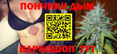 стафф Шебекино